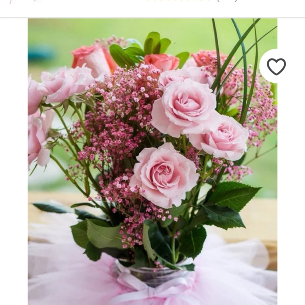 Meet your Posher, Iliana